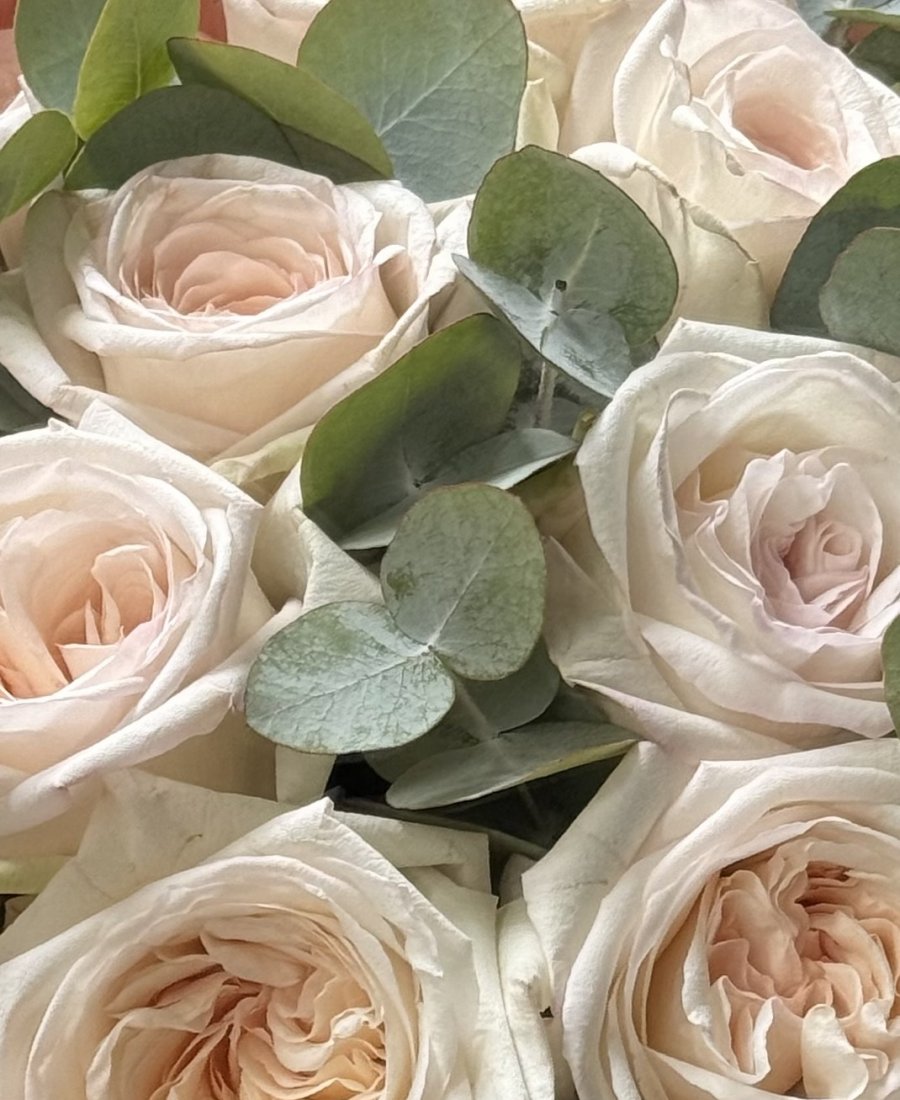 Букет роз «Classic DUO — White O’Hara with Eucalyptus»