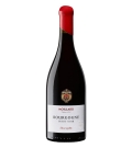 Pinot Noir Bourgogne AOC - Domaine Moillard 2022