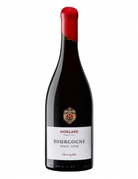 Pinot Noir Bourgogne AOC - Domaine Moillard 2022