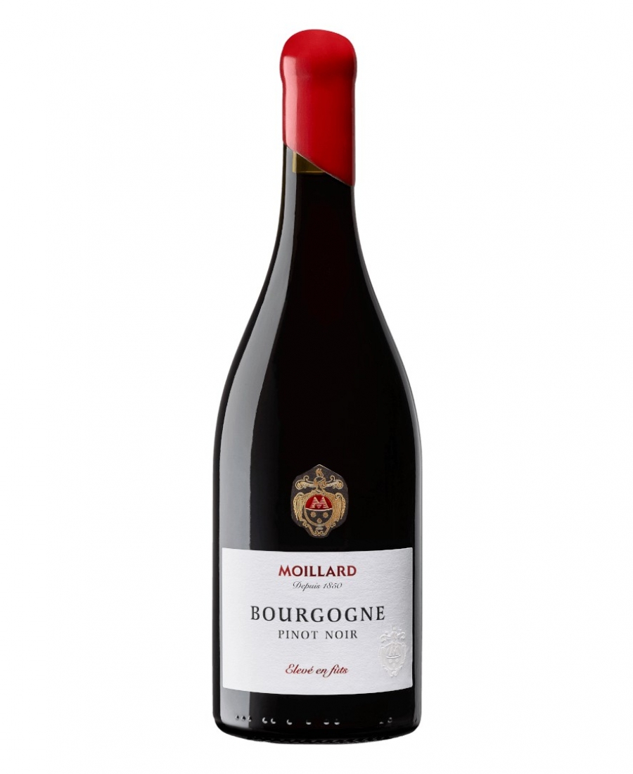 Pinot Noir Bourgogne AOC - Domaine Moillard 2022