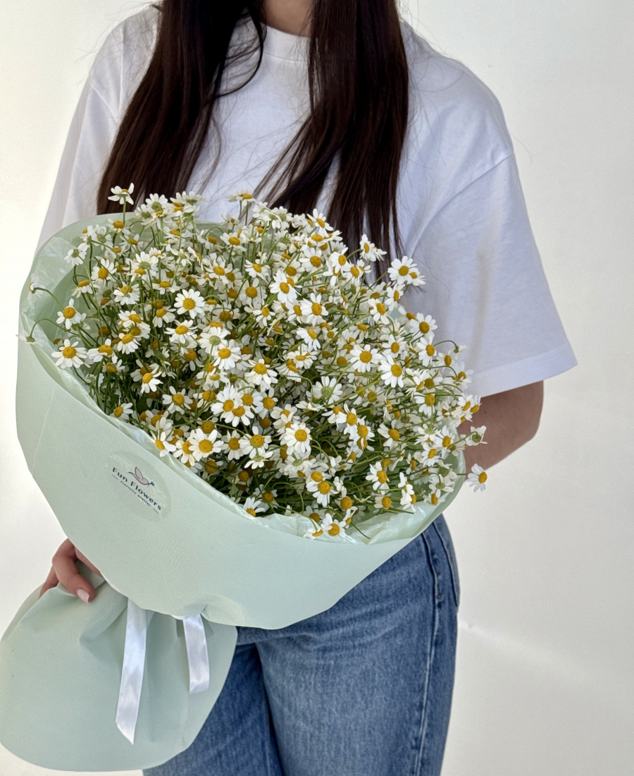 Bouquet of bush chamomile Matricaria