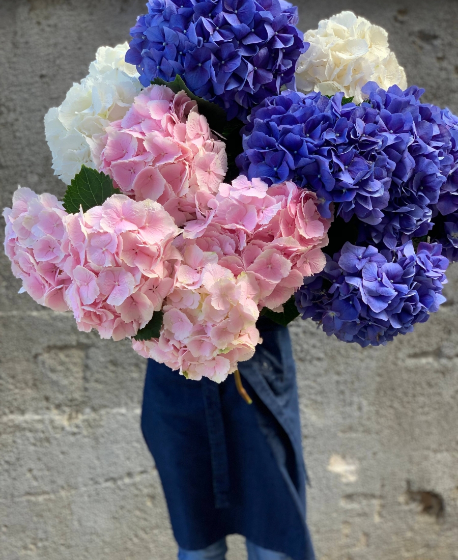 Bouquet of hydrangeas 11 pcs.