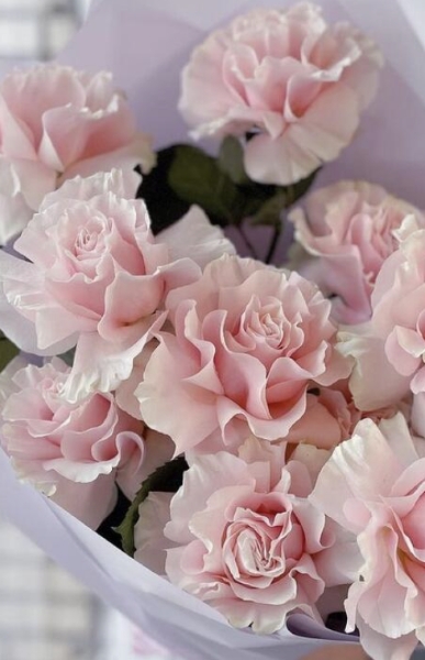 Peonies