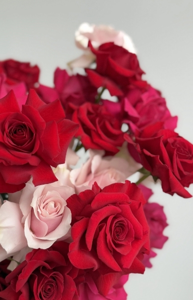 Peonies